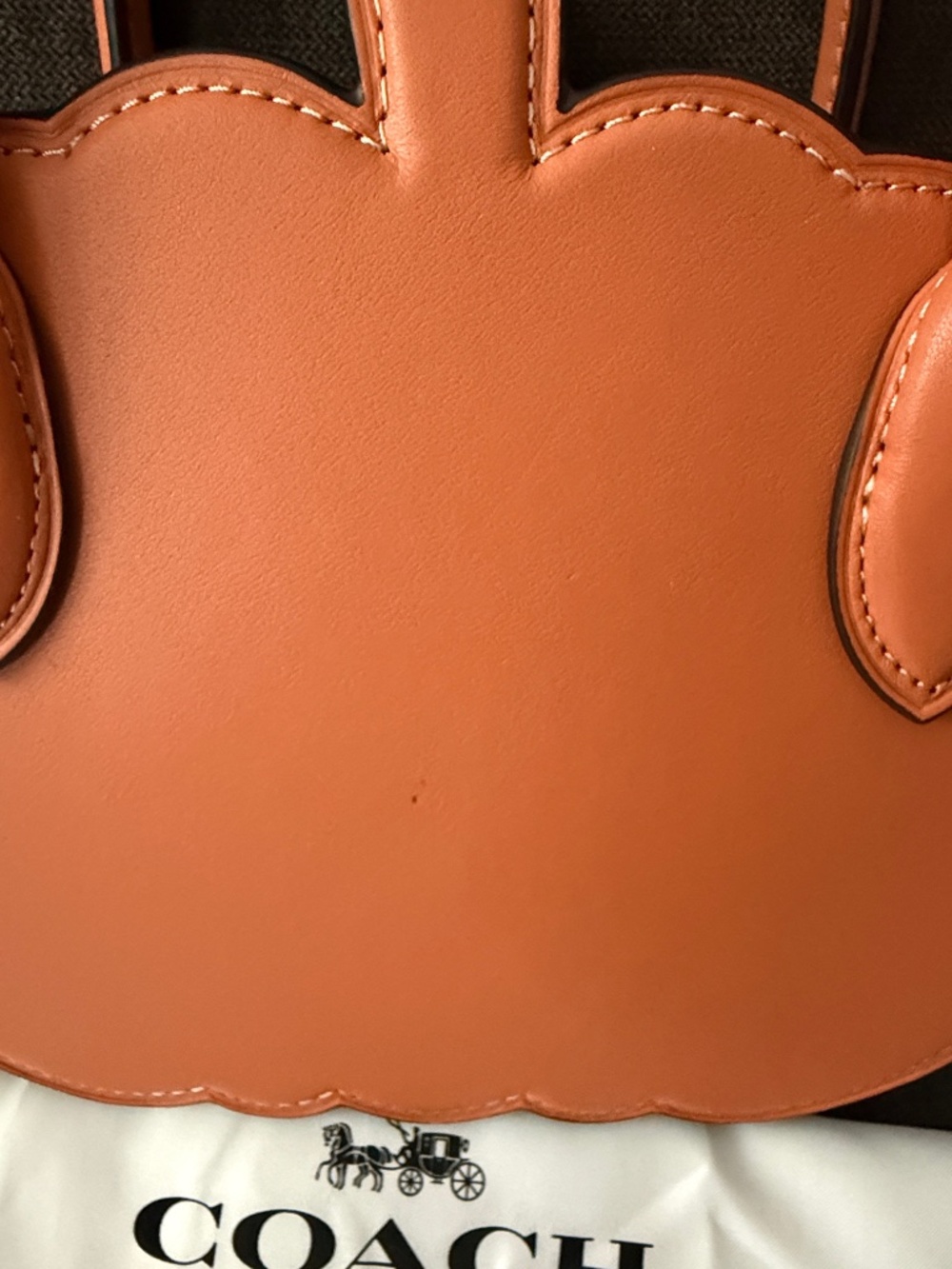 Coach Pumpkin Bag - Picture 6 of 12
